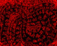 a red background with a lot of designs on it